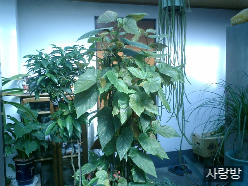 사랑방&쉼터 이미지