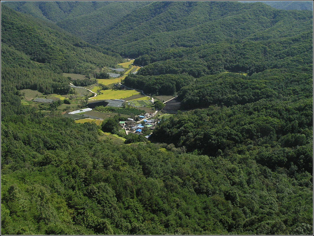 달이산(월이산) 이미지