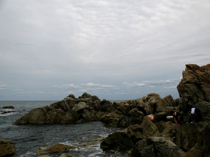 이미지를 클릭하면 원본을 보실 수 있습니다.