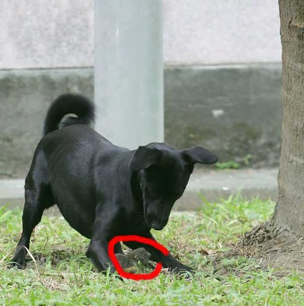 모성애 이미지