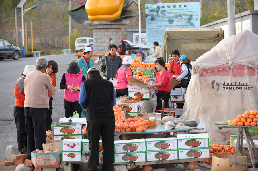 삼황 이미지