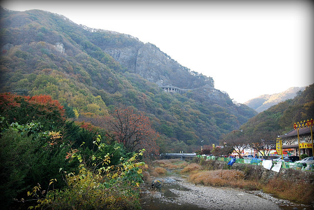 진상골 이미지