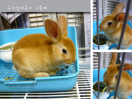 토순이몰 이미지