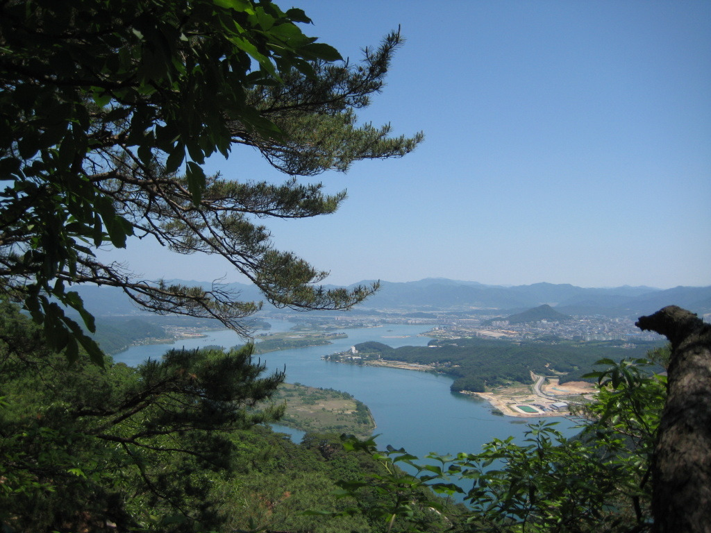 비선식당 이미지